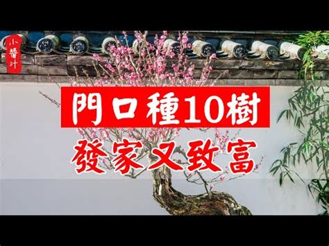 門口放什麼招財|10種旺財門口植物